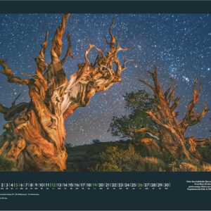 GEO Augenblicke in der Natur 2027: Wandkalender 58x36 cm mit 12 Naturfotografien, deutschem Kalendarium und Spiralbindung – Bild 6