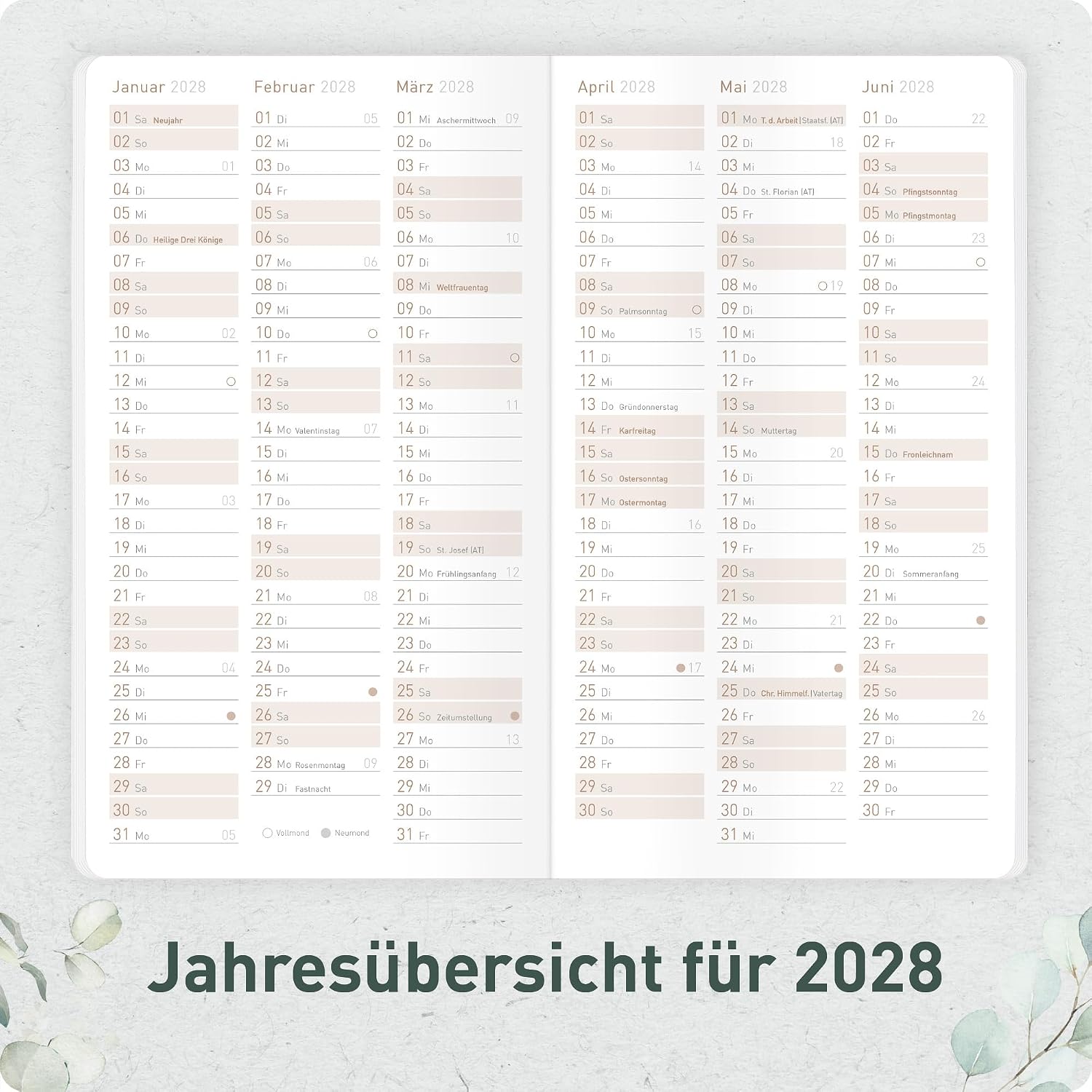 Häfft® Monthly Calendar 2027 A6 + Pocket Slim "Minty Leaves" – Bild 5