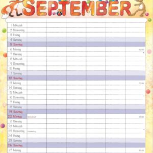 Family Planner Cartoon 2027: Family Calendar 23.7 x 34 cm with 6 Columns, Holiday Overview, German Calendar & Cartoon Illustrations, Ideal for Family Organisation – Bild 6
