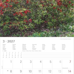 Gartenzauber 2027: Wandkalender 30x30 cm (30x60 cm geöffnet) mit Notizkalendarium, 12 Gartenmotiven und Bucket-List – Bild 3