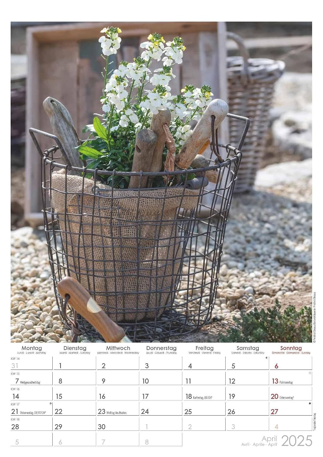 Landhaus 2027: Wandkalender 29,7x42 cm mit Feiertagen, 4-sprachigem Kalendarium und Platz für Notizen – Bild 5