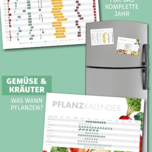 Schöne Güter® Couples Calendar 2027 Family Calendar 3 Columns 16 x 32.5 cm Eucalypt Greenery Wall Planner for 2 People Couple Planner Natural Design Modern and Fresh Includes Stickers and Holidays – Bild 6